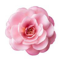 Pink Flower Seen from Above on White Background AI Generated photo