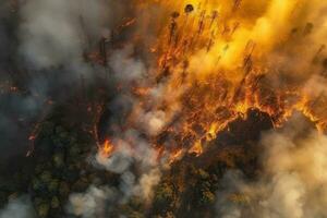 Devastating Forest Fire from Above photo