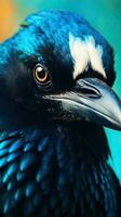 Spectacular Magpie in Extreme Closeup Richly Textured and Highly Detailed Generative AI photo