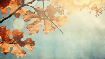 Autumn Collage Background with Oak Leaves and Bright Sun AI Generated photo