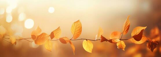 Autumn Leaves and Bokeh Background AI Generated photo