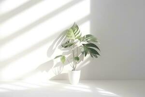 Minimalistic Abstract Background with Blurred Shadows of Leaves and Plants on White Wall photo