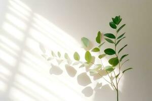 Minimalistic Abstract Background with Blurred Shadows of Leaves and Plants on White Wall photo