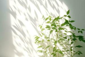 Minimalistic Abstract Background with Blurred Shadows of Leaves and Plants on White Wall photo