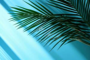 Minimal Abstract Background with Blurred Shadow of Palm Leaves on Light Blue Wall photo