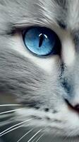 Cute Cat Wallpapers for Android  Funny Wallpapers with Detailed Facial Features AI Generated photo