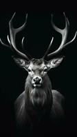 majestuoso ciervo en oscuro antecedentes en negro y blanco generativo ai foto