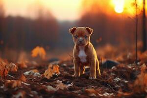 Playful Dog Enjoying the Outdoors AI Generated photo
