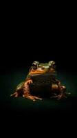 Minimalist Frog on Dark Background Generative AI photo