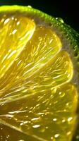 Extreme Macro CloseUp of a Juicy Translucent Lime Slice AI Generated photo