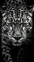 Majestic Black and White Jaguar on Dark Background AI Generated photo