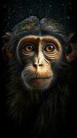 Realistic Monkey on Dark Background AI Generated photo