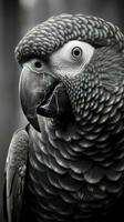 Black and White Parrot on Dark Background AI Generated photo