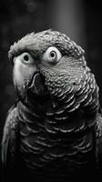 Black and White Parrot on Dark Background Generative AI photo