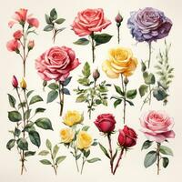 Beautiful Watercolor Clipart Roses and Daisies Elements AI Generated photo