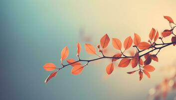 Vibrant Autumn Foliage with Sunlit Tree Branches AI Generated photo