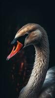 Elegant Swan Collage on Dark Background AI Generated photo