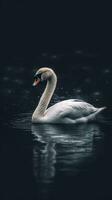 minimalista cisne en oscuro antecedentes generativo ai foto