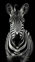 Black and White Zebra on Dark Background AI Generated photo