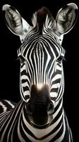 Typography Zebra on Dark Background AI Generated photo