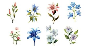 Azerbaijan Flowers Watercolor Collection on Clean White Background Generative AI photo