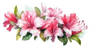 Bright Pink Azalea Bundle in Modern Watercolor Style Isolated on White Background Generative AI photo