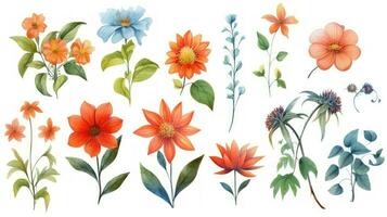 Flower Collection Set on Clean White Background with Watercolor Effect  Centered View Generative AI photo