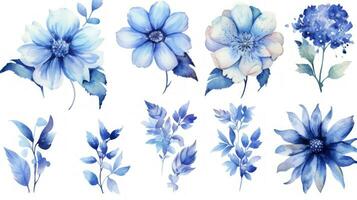 Watercolor Collection of Flowers from Bosnia and Herzegovina on a Clean White Background with Sharp Lines Generative AI photo