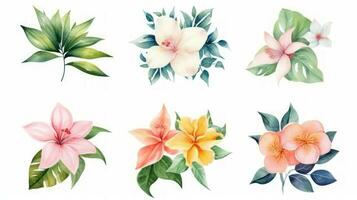 Brunei Flowers Collection Watercolor Set on a Clean White Background with Sharp Lines and Centered View Perfect for Floral Design Projects Generative AI photo