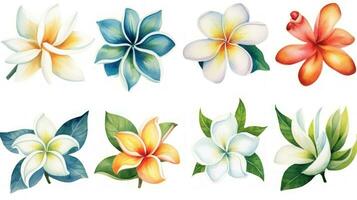 Cambodian Flower Collection Watercolor Paintings on a Clean White Background with Sharp Lines in a Centered View Generative AI photo