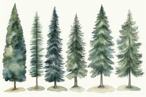 Enchanting HandDrawn Forest Collection Pack 2 Generative AI photo