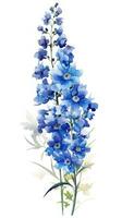 Modern Style Delphinium Cluster on Rich Blue and White Background Generative AI photo