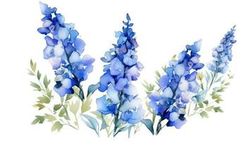 Modern Style Delphinium Cluster on Rich Blue and White Background Generative AI photo