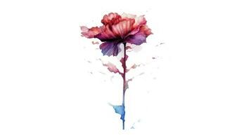 Discover the Beauty of Watercolor Carnations Generative AI photo