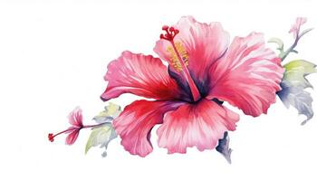 Bold Hibiscus Bloom on White Background in Modern Watercolor Style Generative AI photo