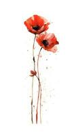 Fiery Red Poppy Bunch in Modern Watercolor Style on White Background Perfect for Floral Greeting Cards and Invitations Generative AI photo