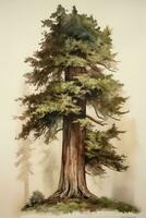 Giant Redwood Tree Watercolor Painting with a Minimalistic Style photo