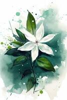 Watercolor Star Jasmine Painting Simple and Minimalistic Style Generative AI photo