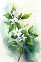 Watercolor Style Star Jasmine Painting Simple and Minimalistic Generative AI photo