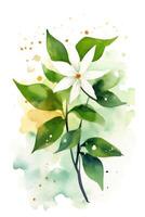 Watercolor Style Star Jasmine Painting Simple and Minimalistic Generative AI photo