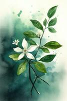 Watercolor Star Jasmine Painting Simple and Minimalistic Style Generative AI photo