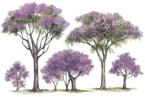 Jacaranda Trees Forest Collection Generative AI photo