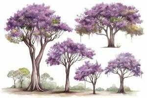 Jacaranda Trees Forest Pack A HandDrawn Collection Generative AI photo