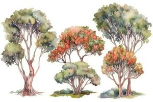 HandDrawn Arbutus Trees Collection A Watercolor Forest Pack Generative AI photo