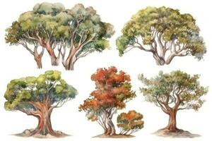 HandDrawn Arbutus Trees Collection A Watercolor Forest Pack Generative AI photo