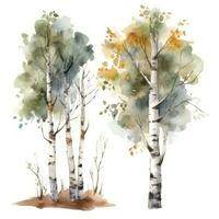 Birch Tree Forest Watercolor Collection Generative AI photo