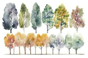 Birch Tree Forest Watercolor Collection Generative AI photo