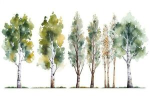 Birch Tree Forest Watercolor Collection  Set of HandDrawn Trees Generative AI photo