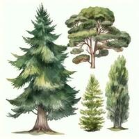 Cedar Tree Forest Watercolor Collection Generative AI photo