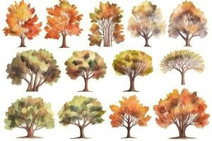 HandDrawn Watercolor Chestnut Trees Collection A Forest of Chestnut Trees Generative AI photo